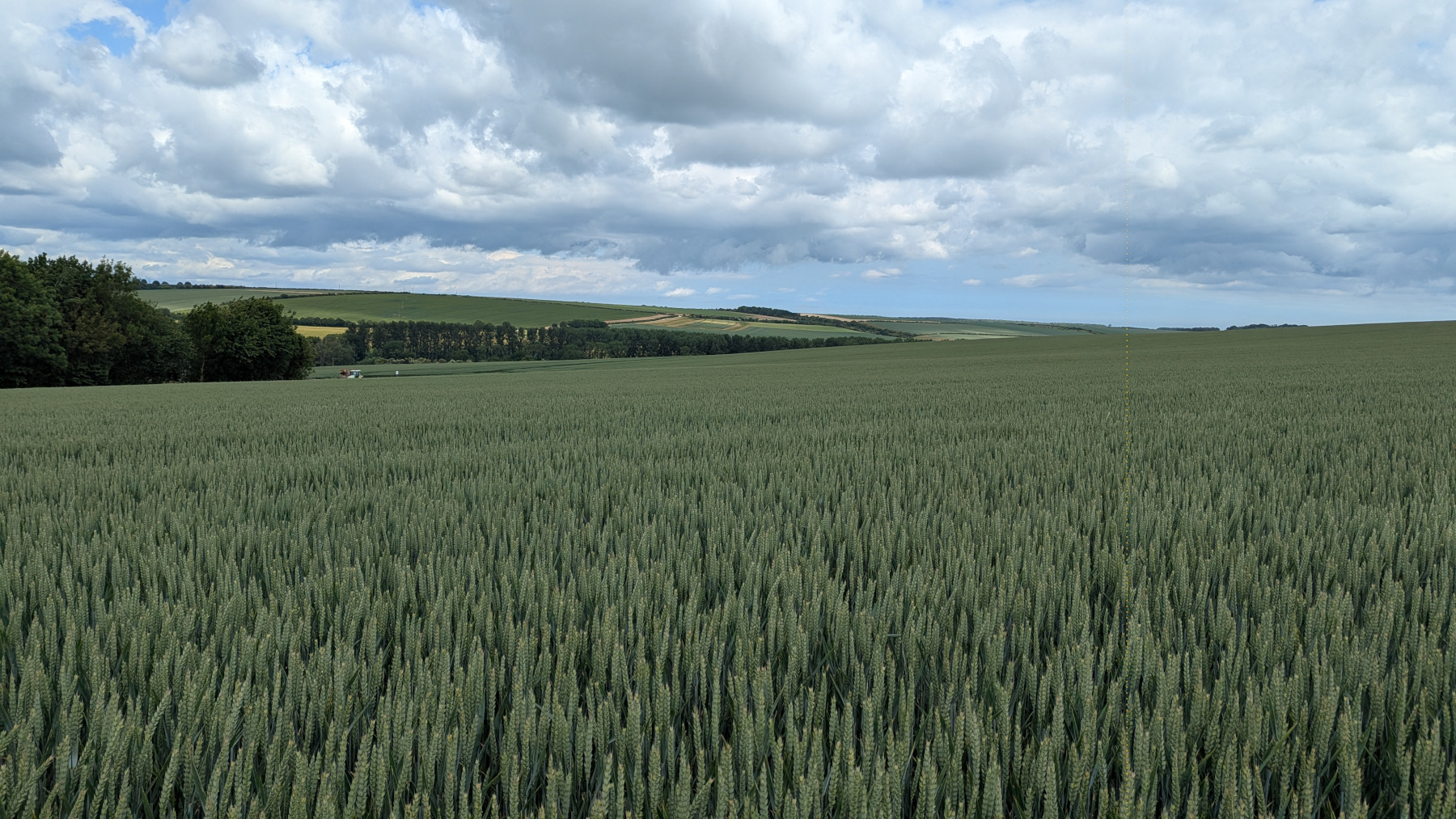 Tim Lamyman Farm (20).jpg